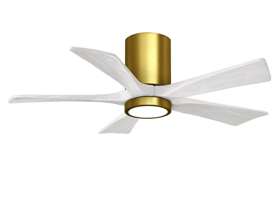 Matthews Fan Company - IR5HLK-BRBR-MWH-42 - 42"Ceiling Fan - Irene - Brushed Brass