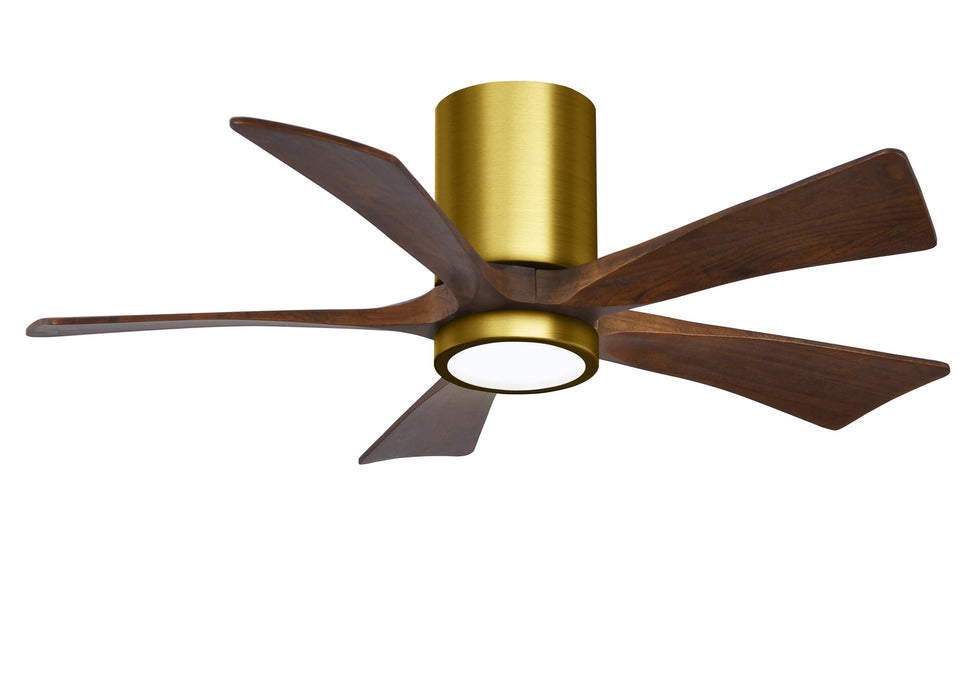 Matthews Fan Company - IR5HLK-BRBR-WA-42 - 42"Ceiling Fan - Irene - Brushed Brass