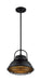 Nuvo Lighting - 60-7074 - One Light Pendant - Upton - Dark Bronze / Gold