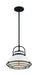 Nuvo Lighting - 60-7084 - One Light Pendant - Upton - Gloss White / Black Accents