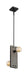 Nuvo Lighting - 60-7232 - Two Light Mini Pendant - Stella - Driftwood / Black Accents