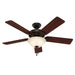 Hunter - 53159 - 52"Ceiling Fan - Waldon - Onyx Bengal