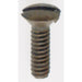 Satco - 90-535 - Switchplate Screw - Antique Brass