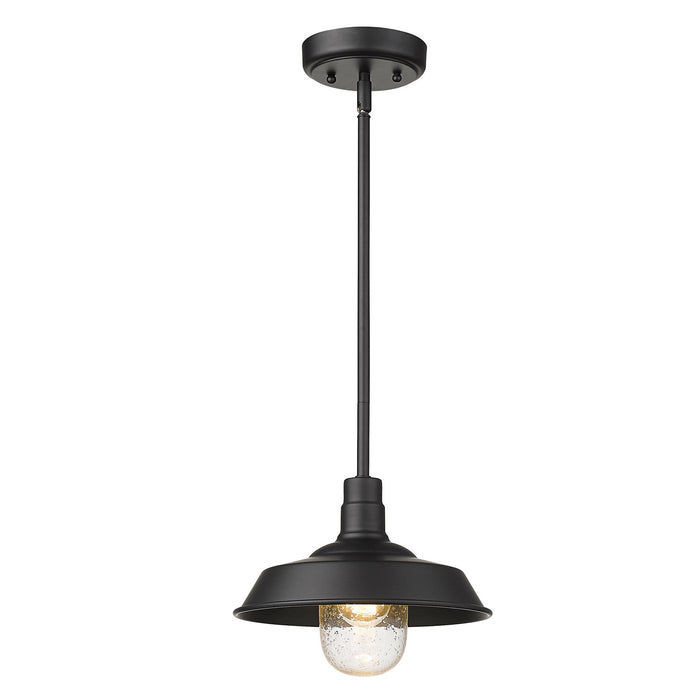 Acclaim Lighting - 1736BK - One Light Pendant - Burry - Matte Black