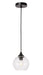 Elegant Lighting - LD2280 - One Light Pendant - Cashel - Black And Clear Glass