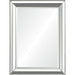 Renwil - MT2219 - Mirror - Hawkwell - Sliver Leaf