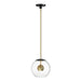 ET2 - E25154-BKNAB - LED Pendant - Nucleus - Black / Natural Aged Brass