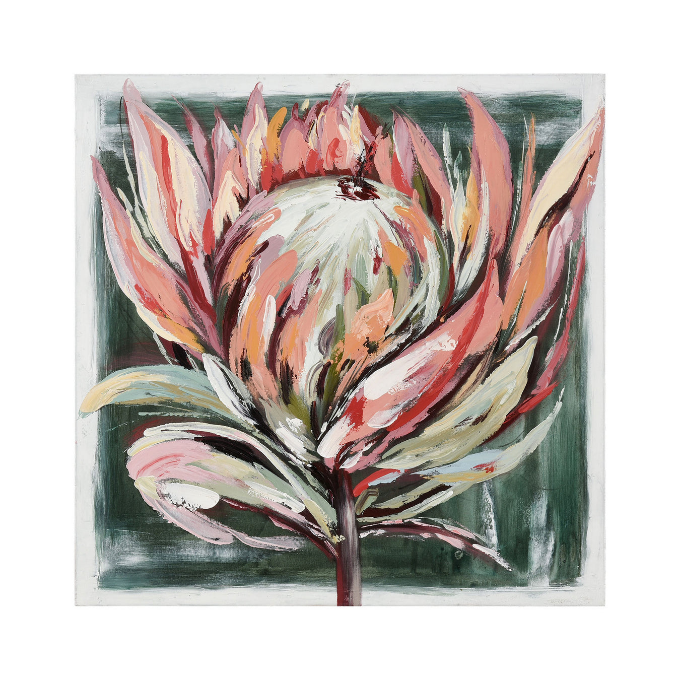 Protea