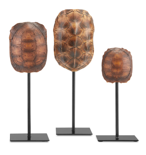Currey and Company - 1200-0433 - Shells Set of 3 - Turtle - Dark Brown/Antique Brown/Black