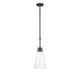 Savoy House - 7-1831-1-89 - One Light Pendant - Lakewood - Matte Black