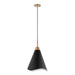 Nuvo Lighting - 60-7473 - One Light Pendant - Tango - Matte Black / Burnished Brass