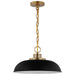 Nuvo Lighting - 60-7481 - One Light Pendant - Colony - Matte Black / Burnished Brass