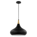 Nuvo Lighting - 60-7513 - One Light Pendant - Phoenix - Matte Black / Polished Nickel