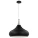Nuvo Lighting - 60-7516 - One Light Pendant - Phoenix - Matte Black / Polished Nickel