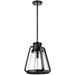 Nuvo Lighting - 60-7552 - One Light Pendant - Everett - Matte Black