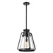 Nuvo Lighting - 60-7553 - One Light Pendant - Everett - Matte Black