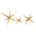 ELK Home - S0807-8741/S3 - Decorative Object - Star Jacks - Polished Brass
