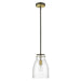 Acclaim Lighting - IN20000ORB - One Light Pendant - Shelby - Oil Rubbed Bronze and Antique Brass