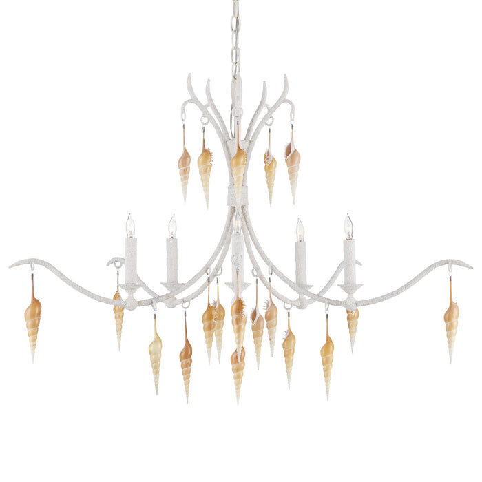 Currey and Company - 9000-0988 - Five Light Chandelier - Arcachon - Crushed Shell/Natural/Vanilla