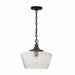 Capital Lighting - 347611CK - One Light Pendant - Clive - Carbon Grey and Black Iron
