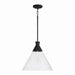 Capital Lighting - 350311XK - One Light Pendant - Paloma - Textured Black