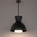W.A.C. Lighting - PD-23316-BK - LED Pendant - Carafe - Black