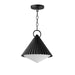 Maxim - 35131WTBK - One Light Pendant - Odette - Black