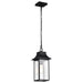 Nuvo Lighting - 60-5996 - One Light Outdoor Hanging Lantern - Austen - Matte Black