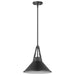 Nuvo Lighting - 60-7645 - One Light Pendant - Zelda - Black