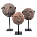 Currey and Company - 1200-0726 - Sculpture - Antique Terracotta