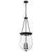Nuvo Lighting - 60-7803 - Three Light Pendant - Boliver - Matte Black