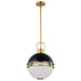Nuvo Lighting - 60-7878 - Two Light Pendant - Everton - Matte Black