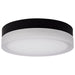 Nuvo Lighting - 62-569 - LED Flush Mount - Pi - Matte Black
