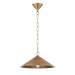 Troy Lighting - F1915-PBR - One Light Pendant - Midvale - Patina Brass