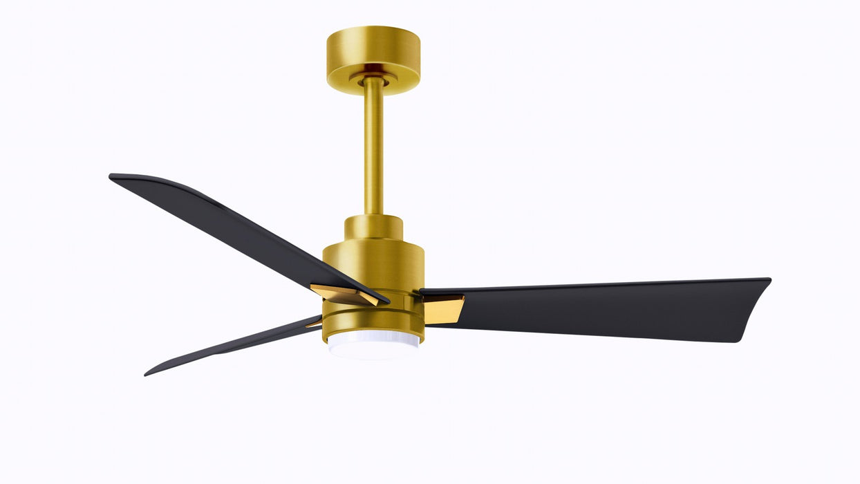 Matthews Fan Company - AKLK-BRBR-BK-42 - 42"Ceiling Fan - Alessandra - Brushed Brass