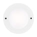 Generation Lighting. - 984100S-15 - LED Disk Light - Disk Lighting - White
