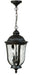 Craftmade - Z6011-OBO - Two Light Pendant - Frances - Oiled Bronze Outdoor