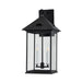 Troy Lighting - B4928-FOR - Two Light Exterior Wall Sconce - Corning - Forged Iron