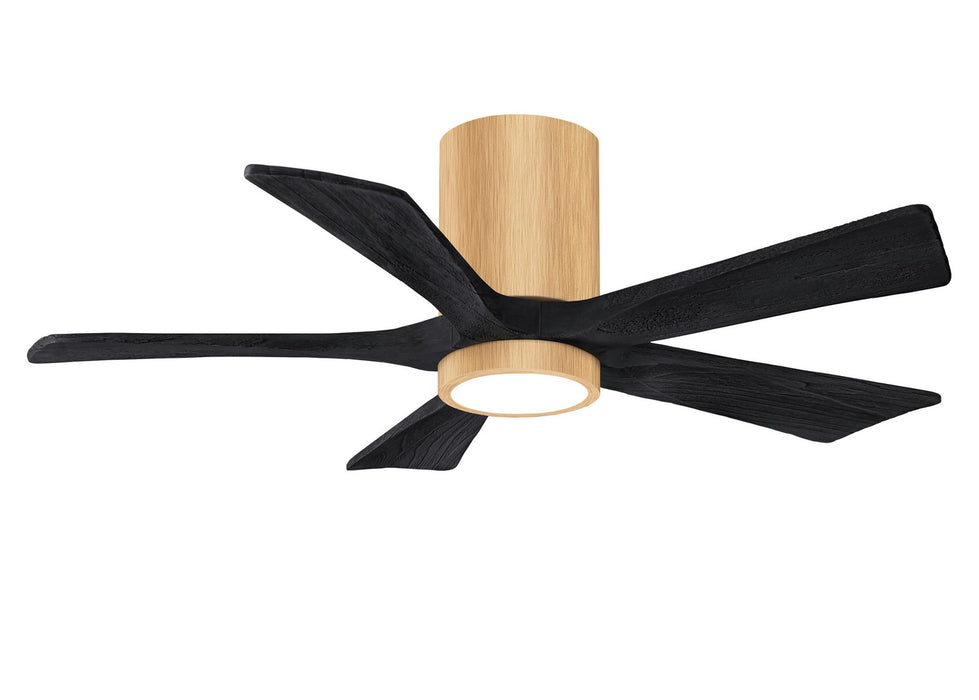 Matthews Fan Company - IR5HLK-LM-BK-42 - 42"Ceiling Fan - Irene - Light Maple