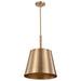 Nuvo Lighting - 60-7938 - One Light Pendant - Alexis - Burnished Brass / Gold