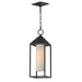 Maxim - 30079SWBK - One Light Outdoor Pendant - Aldous - Black