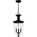 Quoizel - HVN1510EK - Three Light Pendant - Havana - Earth Black