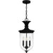 Quoizel - HVN1910EK - Three Light Outdoor Hanging Lantern - Havana - Earth Black