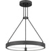 Quoizel - PCDRU2824PCI - LED Pendant - Drury - Pewter Cast Iron