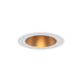 W.A.C. Lighting - R1ARDT-GLWT - LED Trim - Aether Atomic - Gold/White