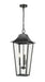 Z-Lite - 5008CHXL-BK - Three Light Outdoor Chain Mount Ceiling Fixture - Gannon - Black