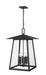 Z-Lite - 5015CHXXL-BK - Six Light Outdoor Chain Mount Ceiling Fixture - Rainer - Black