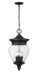 Z-Lite - 5016CHB-BK - Four Light Outdoor Chain Mount Ceiling Fixture - Davina - Black