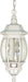Nuvo Lighting - 60-894 - Three Light Hangng Lantern - Central Park - White
