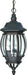 Nuvo Lighting - 60-896 - Three Light Hangng Lantern - Central Park - Textured Black